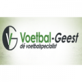 Voetbal-geest logo