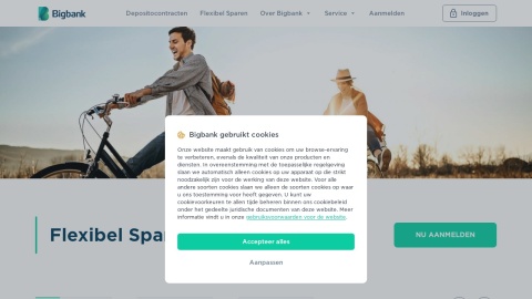 Reviews over Bigbank