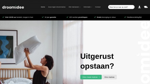 Reviews over Droomidee